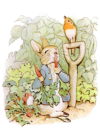 Peter Rabbit Eating Carrots