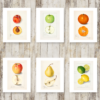 6 Free Vintage Fruit Prints
