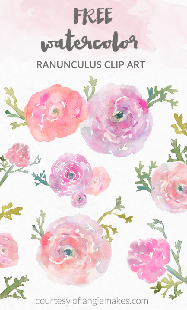 Free Watercolor Ranunculus image